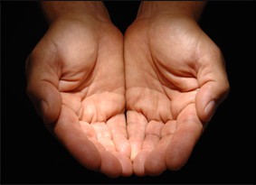 Stewardship Programs